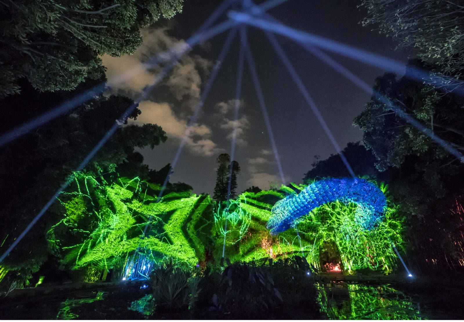 Anima Mundi, proiezioni e fasci di luce nell'orto botanico
