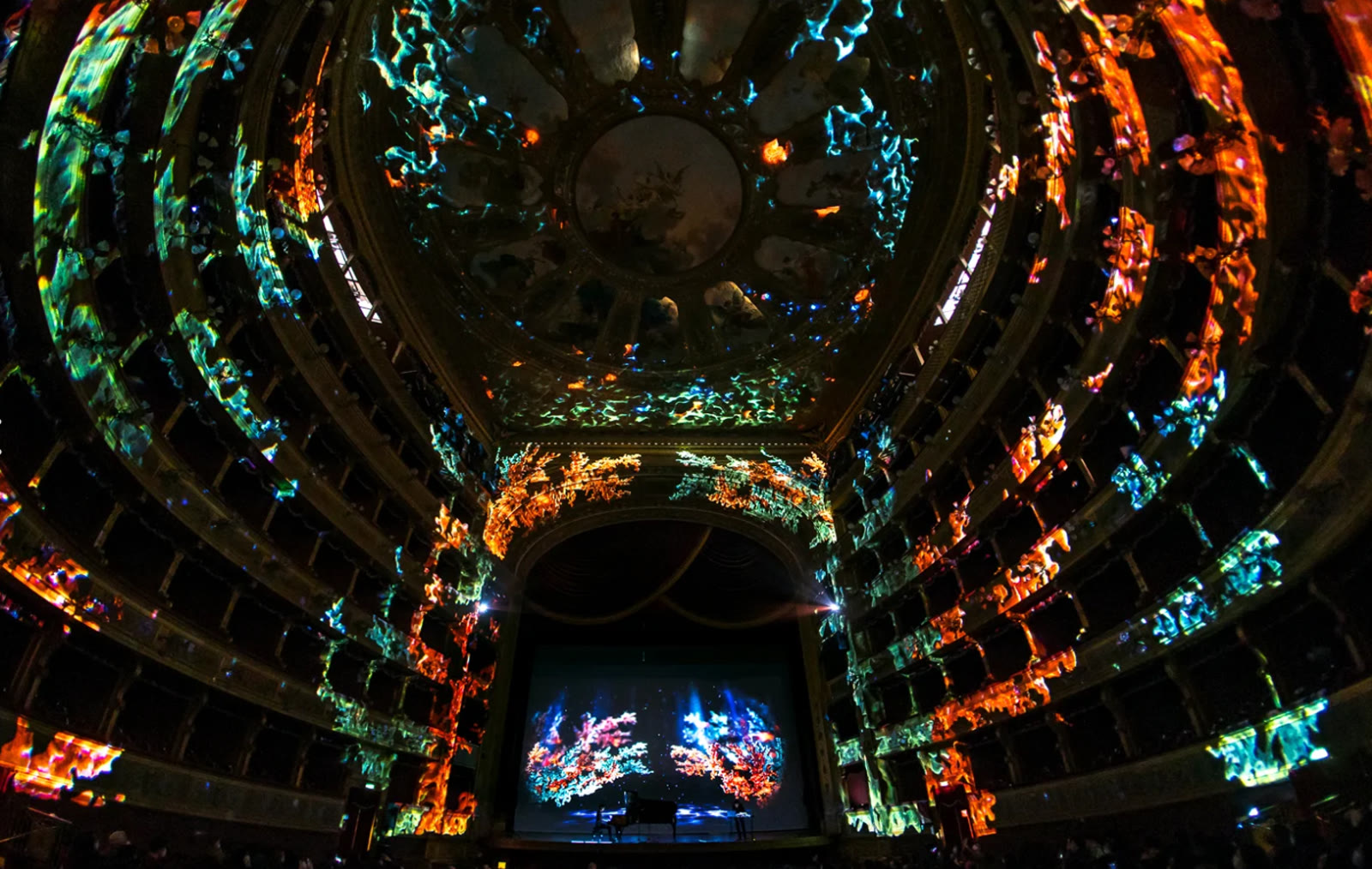 Suoni in estinzione, videomapping nella sala del Teatro Massimo di Palermo
